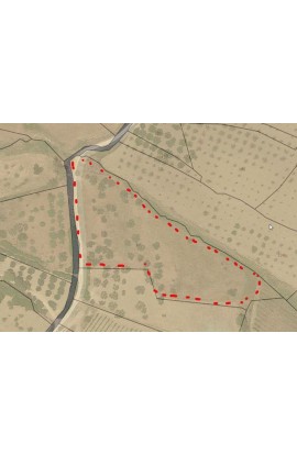 TERRENO MARTORANA CDA PASSARELLO