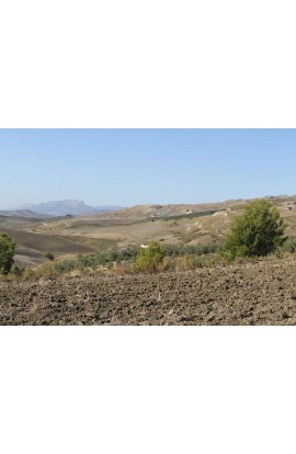 TERRENO D'ANGELO – CDA QUATTRO FINASDI