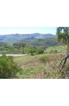 LAND AMOROSO CONTRADA FEOTTO - PROPERTY IN SICILY