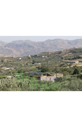 CASA  E TERRENO PANORAMICA  BARBARO CDA FELICIA