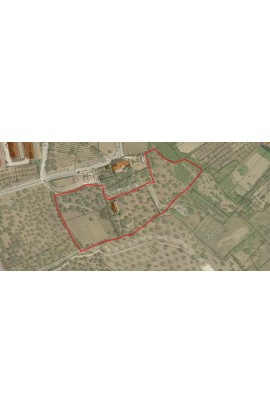 LAND AND HOUSE  ALFANO – CONTRADA CIANCIANIA