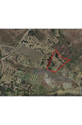 LAND GUSCIGLIO CDA PASSARELLO - PROPERTY IN SICILY