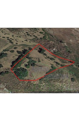 LAND GUSCIGLIO CDA PASSARELLO - PROPERTY IN SICILY