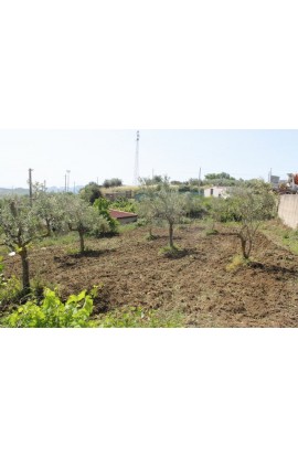 MAGAZZINO E TERRENO PANORAMICO DI MORA – CDA CANALARO