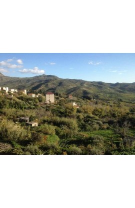 PANORAMIC APT CORBO - VIA SCALDAMOSCHE, BIVONA