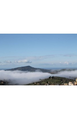 CASA PANORAMICA CEDERVALL SALITA REGINA ELENA CASA