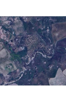TERRENO NICO – CDA PASSO DI SCIACCA