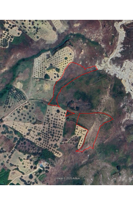 TERRENO RADOSTA – CDA MENDOLA