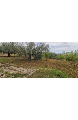 WAREHOUSE AND LAND GAMBINO CONTRADA CICCIONE
