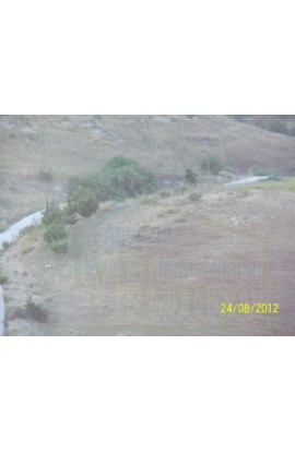 LAND PUGLISI - ERACLEA MINOA (AG) - PROPERTY IN SICILY