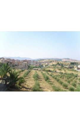 APPARTAMENTO VACCARO - PROPERTY  IN SICILY