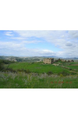 HOUSE AND LAND GAGLIANO BISSANA - PROPERTY IN SICILY