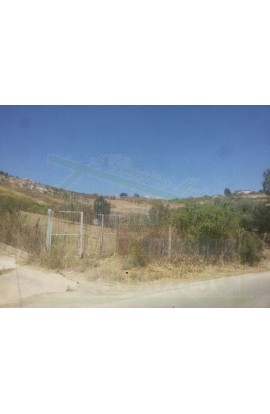 LAND VACCARO – CONTRADA QUARTO ROCCHI - PROPERTY IN SICILY