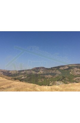 LAND FEUDO ALESSANDRIA - PROPERTY IN SICILY