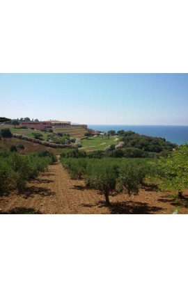 VILLA BALDASSARE – SOVERETO SCIACCA