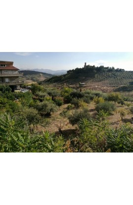 LAND COSTA - Contrada Catrini, Alessandria della Rocca- Property in Sicily