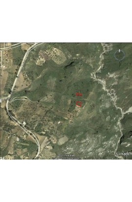 TERRENO ALFANO CONTRADA MANDORLA - PROPERTY IN SICILY