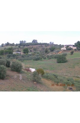 LAND CILONA CONTRADA SCIBBOLONE - PROPERY IN SICILY