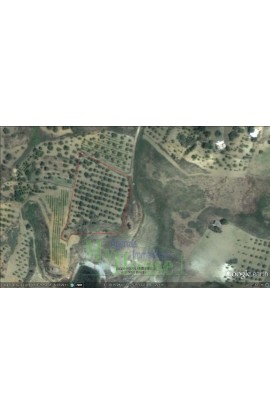 LAND SCHEMBRI CONTRADA FEOTTO - PROPERTY IN SICILY