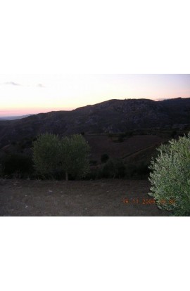 TERRENO PERCONTI - PROPERTY IN SICILY