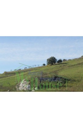 LAND FERRO CONTRADA QUARTO DI ROCCHI - PROPERTY IN SICILY