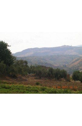 TERRENO TAMBURELLO - PROPERTY IN SICILY