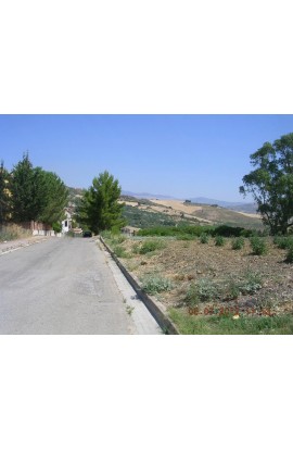 LAND PLOT CONTRADA SERRA - PROPERTY IN SICILY