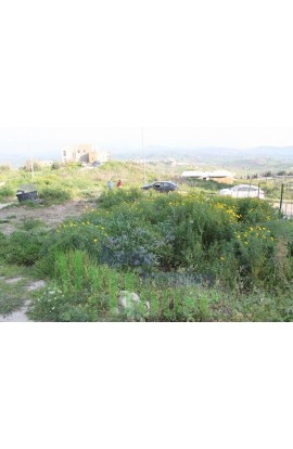 PLOT IN RAFFADALI - PROPERTY IN SICILY