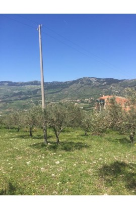 LAND PIZZUTO – SANTO STEFANO QUISQUINA - LAND IN SICILY