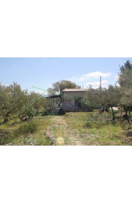 HOUSE WITH LAND MIRELLA - ALESSANDRIA