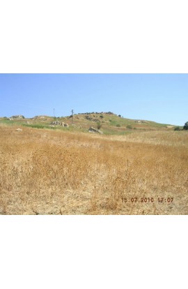 TERRENO CANNATELLA CDA FEOTTO - PROPERTY IN SICILY