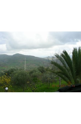 VILLA LONGO AD ALESSANDRIA - PROPERTY IN SICILY