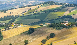 Land in Sicily